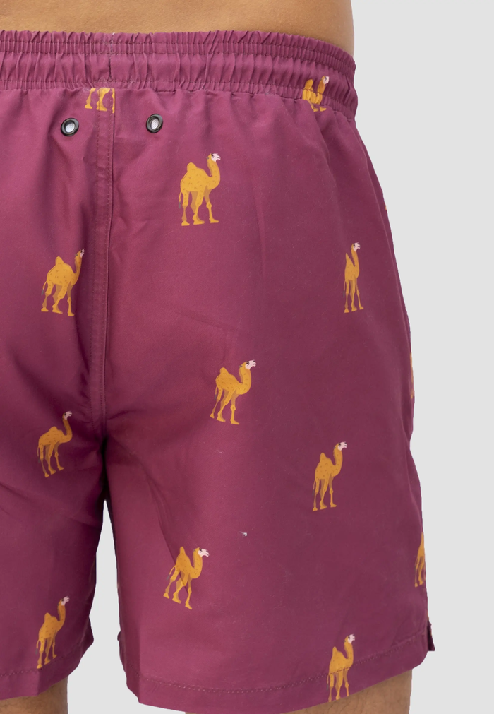 Camel