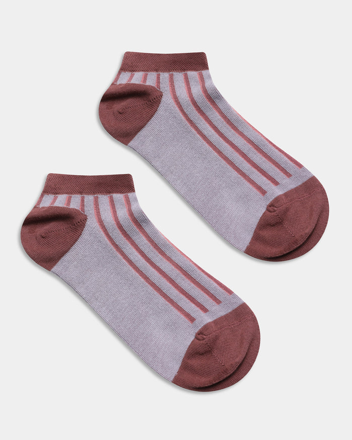 Combed Cotton Ankle Length Socks Pack of 3 - Ariana