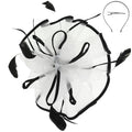 Floral Feathered Contrast Trim Mesh Fascinator
