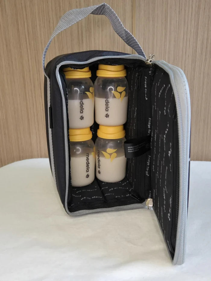 Fridge To Go Mini Fridge