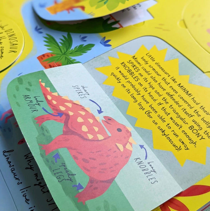 Questions and Answers Flap Book Series