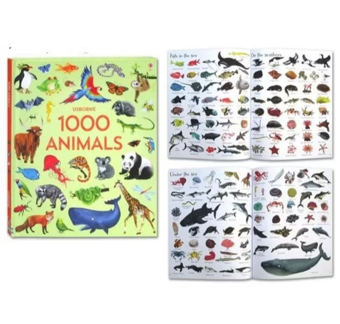 Usborne 1000 Things (5 Book Set)
